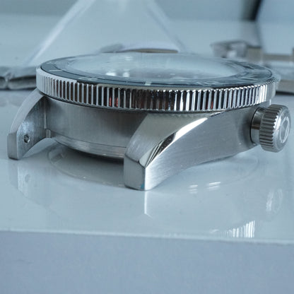 photo of watch case, showing lugs